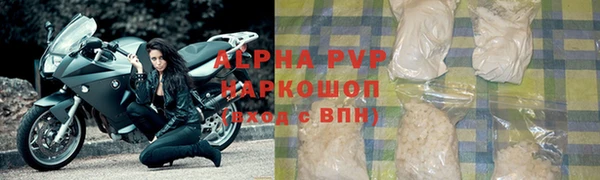 индика Вяземский