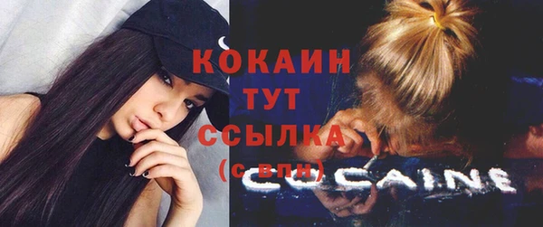 индика Вяземский