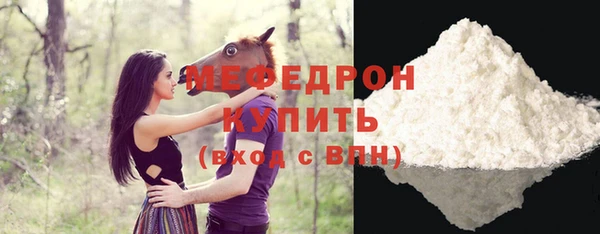 индика Вяземский