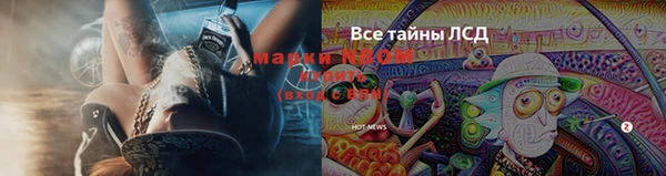 индика Вяземский