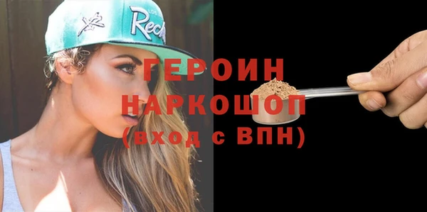 индика Вяземский