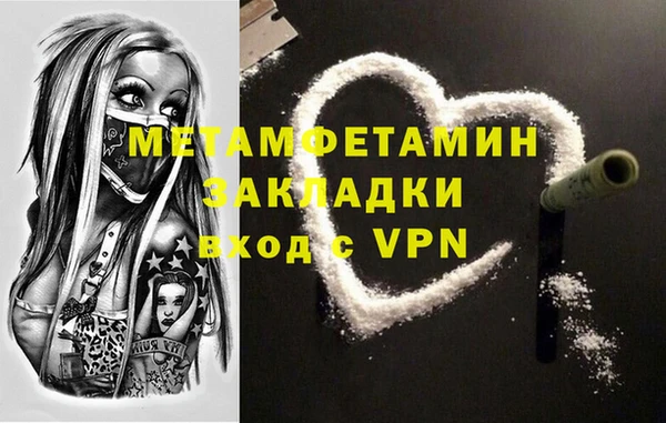 индика Вяземский