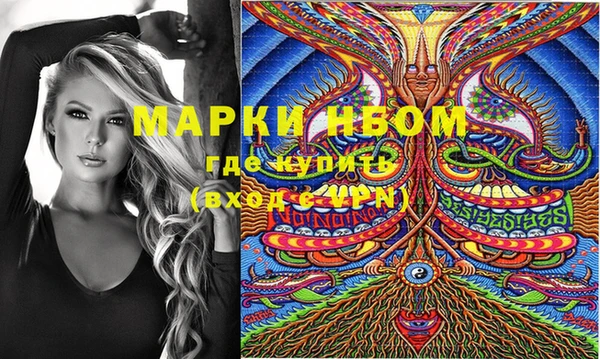 индика Вяземский