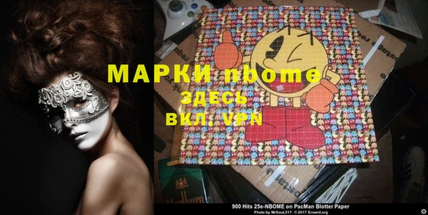 индика Вяземский