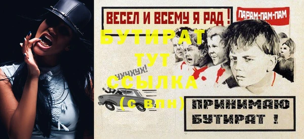 индика Вяземский