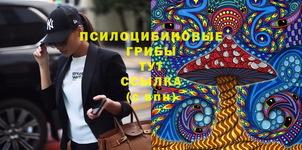 стафф Тайга