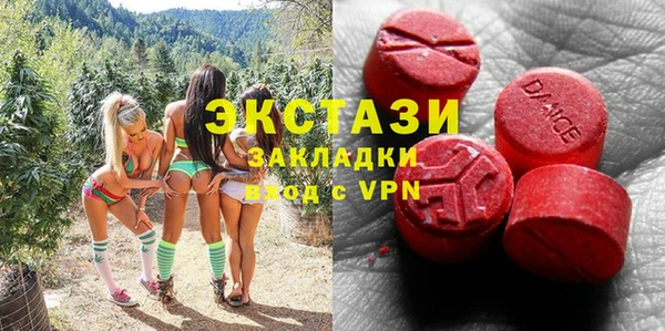 индика Вяземский