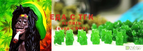индика Вяземский